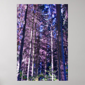affiche en bois violet