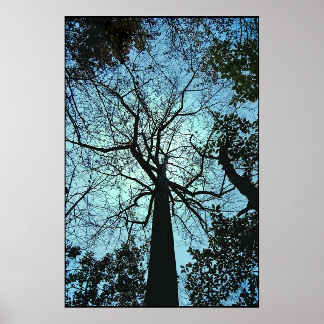 Affiche En haut de l'arbre (Devant)