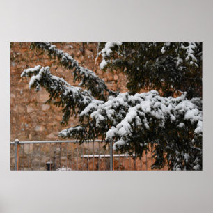 Affiche En hiver, neige sur les arbres