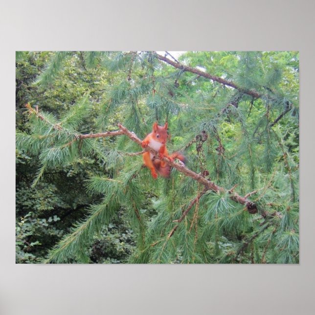 Affiche En marchant là (Devant)