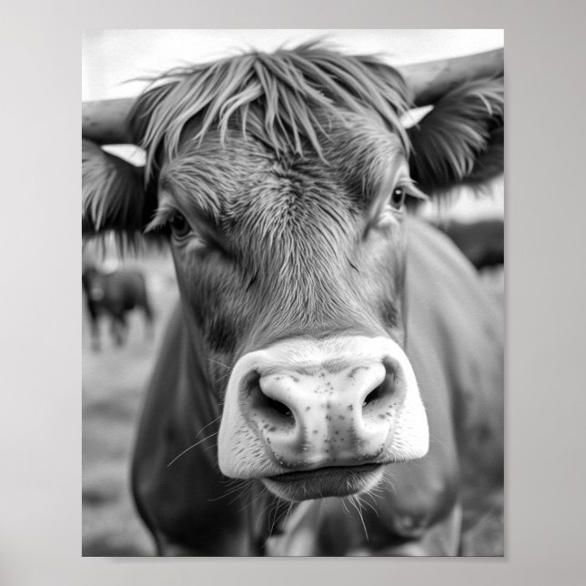 Affiche en noir et blanc de vache allant au Ranch (Devant)
