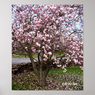 Affiche en pierre d'art de magnolias