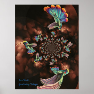 Affiche en spirale de colibri