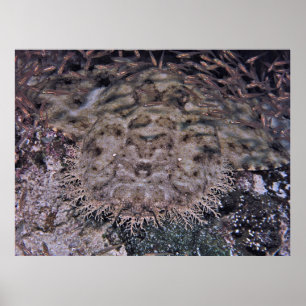 Affiche En vue claire