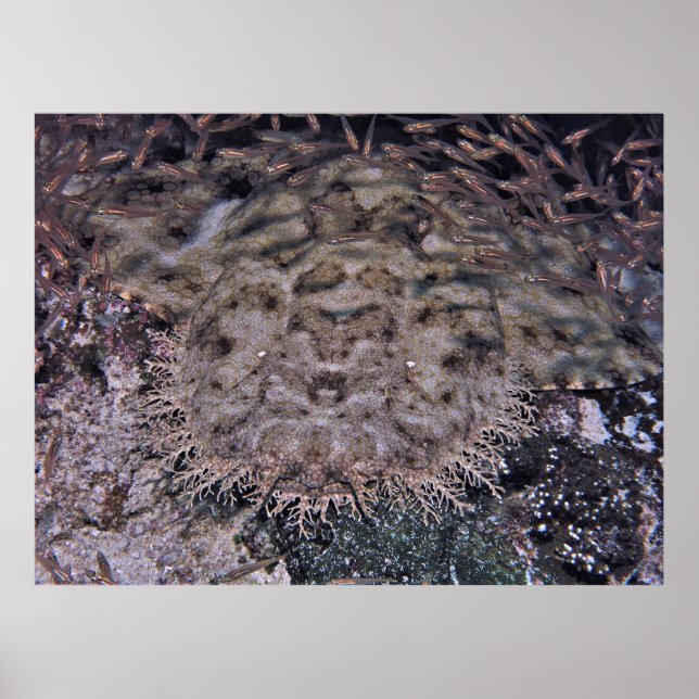 Affiche En vue claire (Devant)