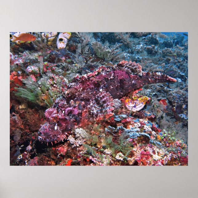 Affiche En vue claire (Devant)