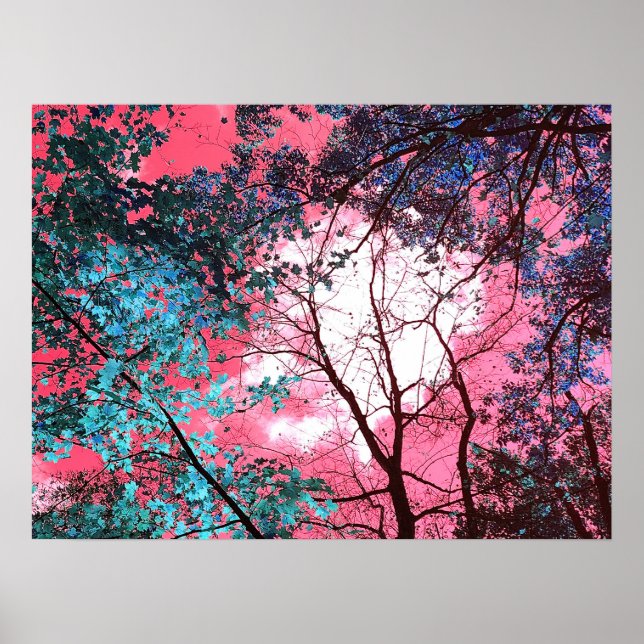 Affiche Enchanted   (Devant)