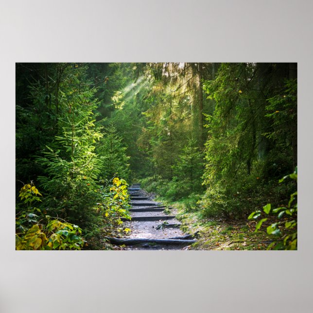 Affiche Enchanted Forest Path   (Devant)