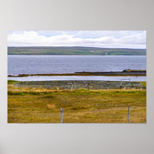 Affiche Enclos de tri des moutons par un fjord, Islande