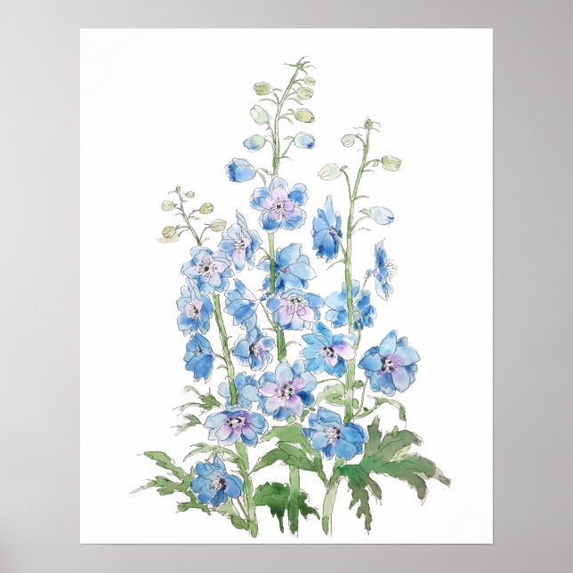Affiche encre de delphinium violet bleu et aquarelle (Devant)