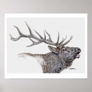 Affiche Encre de wapiti et aquarelle
