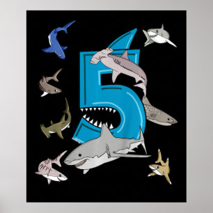 Affiche Enfants 5e anniversaire garçons requin blanc requi