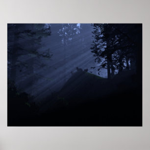 Affiche Enfants de la nuit