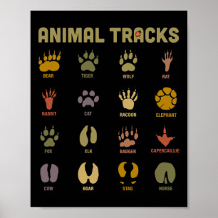 Affiche Enfants Sauvage Animaux Tracks Enfants Apprendre