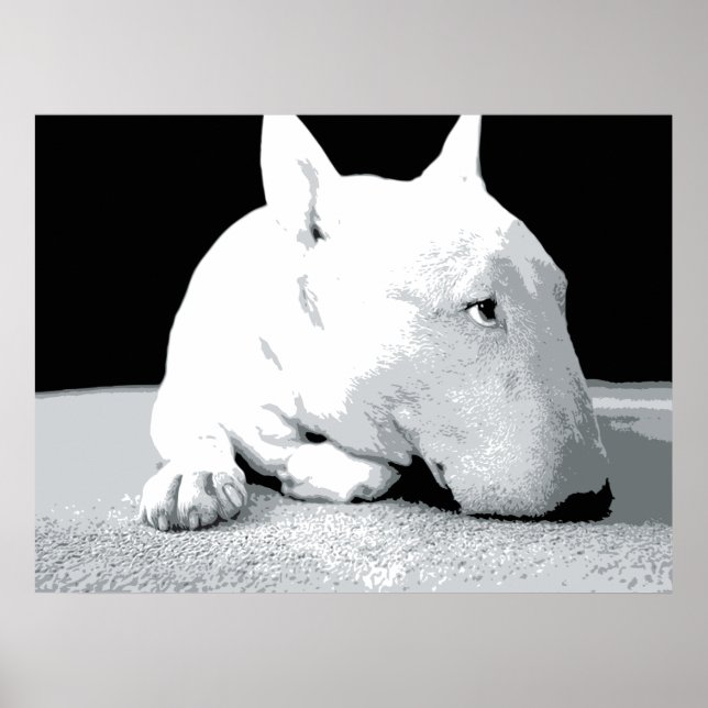 Affiche English Bull Terrier, Pop Art Print (Devant)