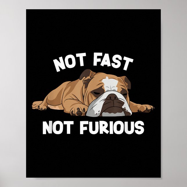 Affiche English Bulldog Sleeping Not Fast Not Furious Funn (Devant)