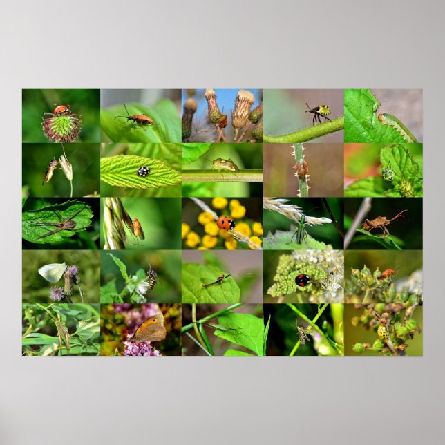 Affiche Enquêter - Collage (Devant)