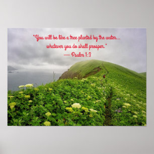 Affiche Enraciné dans les bénédictions