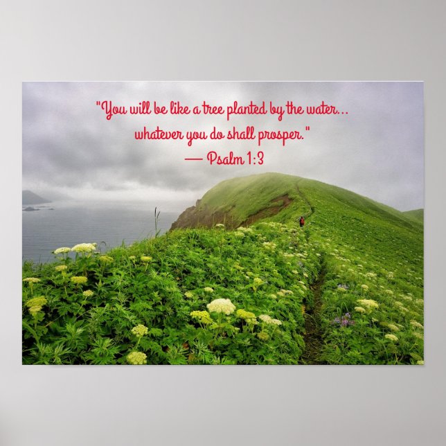 Affiche Enraciné dans les bénédictions (Devant)