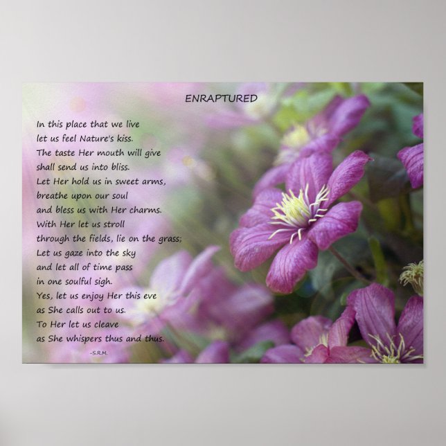 Affiche Enraptured (Devant)