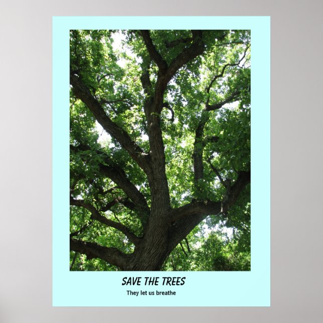 Affiche Enregistrer l'affiche Arbres (Devant)