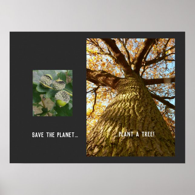 Affiche Enregistrer l'affiche de la planète (Devant)