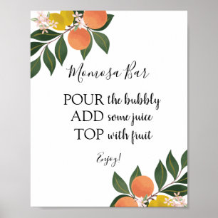 Affiche Enseigne de boisson Citrus Momosa Bar