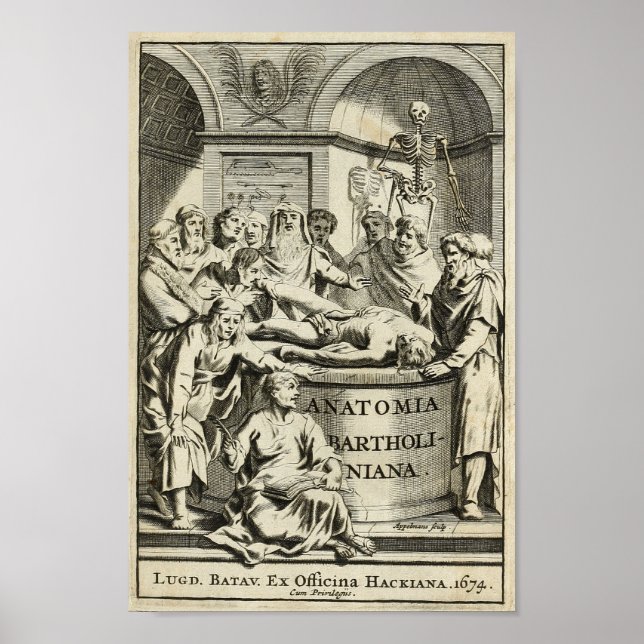 Affiche Enseignement de l'anatomie vintage 1686 Imprimer (Devant)