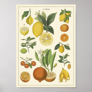 Affiche enseignement vintage