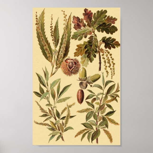 Affiche enseignement vintage (Devant)