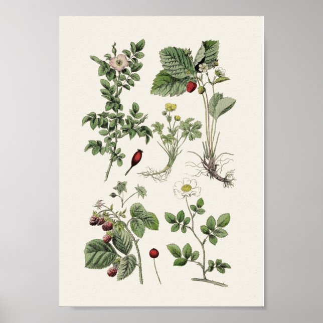 Affiche enseignement vintage (Devant)