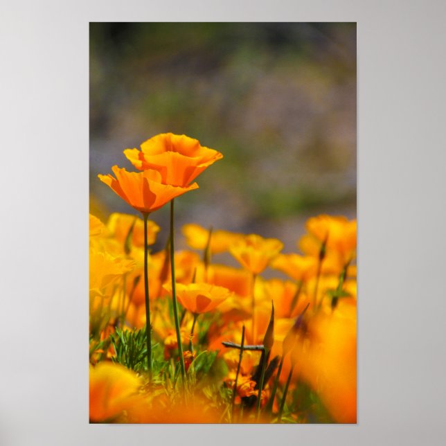 Affiche Ensemble (Devant)