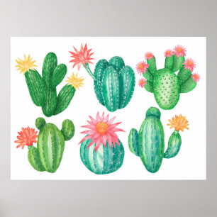Affiche Ensemble de cactus à fleurs. Éléments isolés sur u
