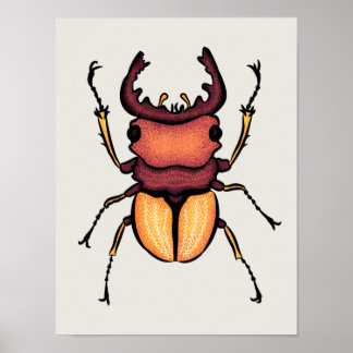 Affiche Entomologie du scarabée