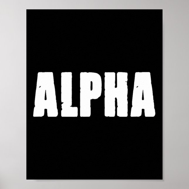 Affiche Entraînement de lapin de gym Alpha Bodybuilding Fi (Devant)
