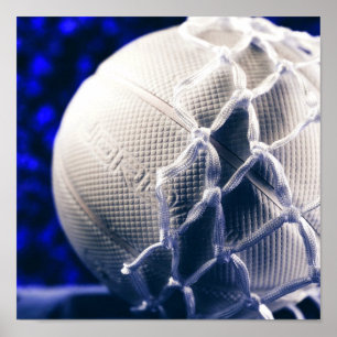 Affiche Entraîneur de volley-ball et Net