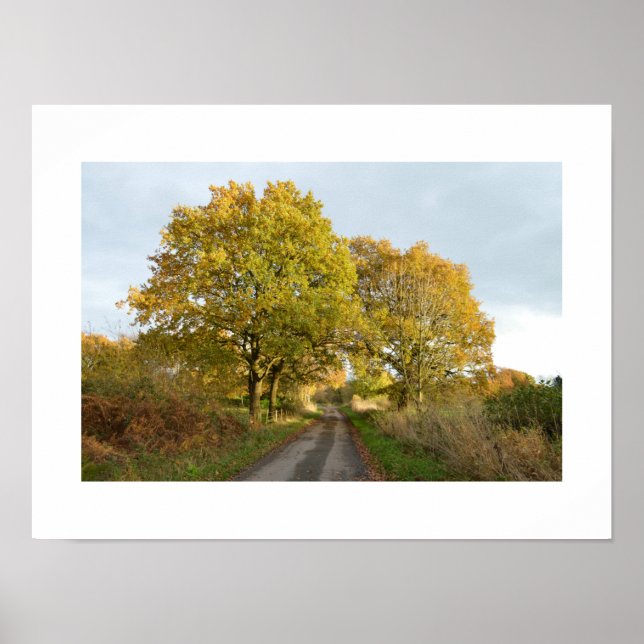 Affiche Entre les chênes : Cheshire rural (Devant)