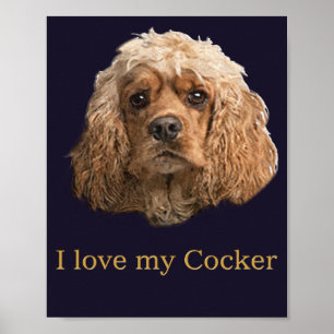Affiche épagneuls cocker
