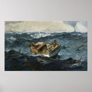 Affiche Épave de requin