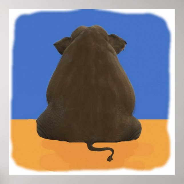 Affiche Éphant NCIS dans la chambre Enfants (Devant)