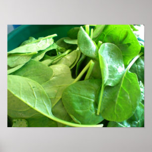 Affiche Épinard