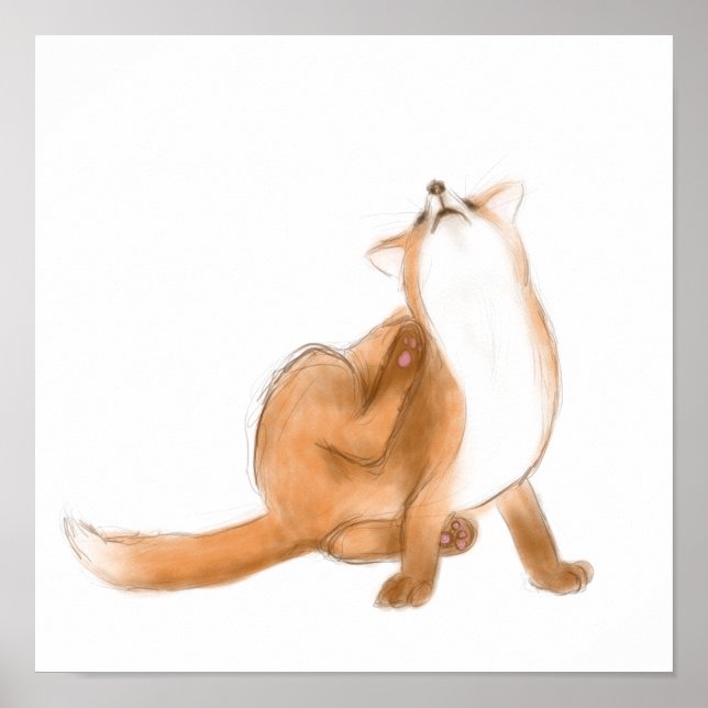 Affiche Épingler le renard (Devant)