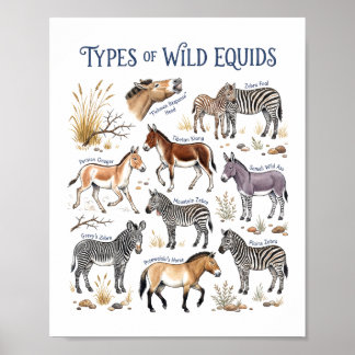 Affiche Équidés sauvages aquarelle zèbre cheval sauvage ar