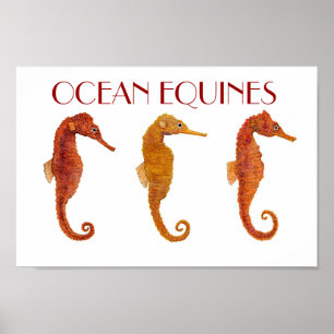 Affiche Equines océaniques