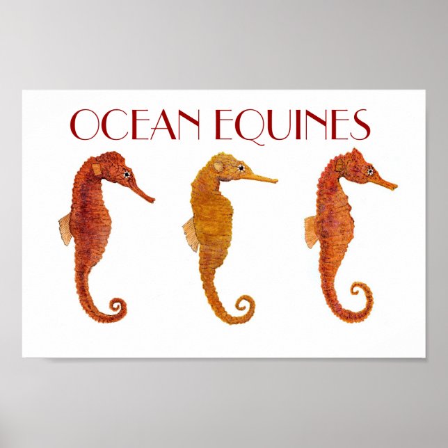 Affiche Equines océaniques (Devant)