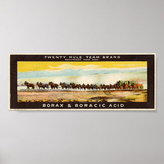 Affiche Équipe de 20 Mules Borax