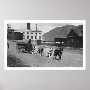 Affiche Équipe de chiens de blanchisserie Alaska 1904