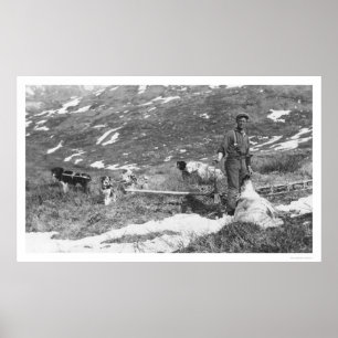 Affiche Équipe de chiens de l'Alaska Chasse 1912