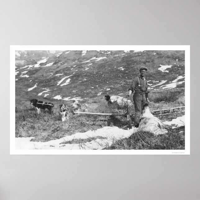 Affiche Équipe de chiens de l'Alaska Chasse 1912 (Devant)