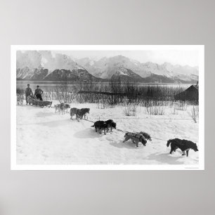 Affiche Équipe de chiens Husky Alaska 1918
